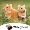 Miniatyrbillede 3 af 5: Marsvine seng, 17×20cm Hamster seng sovepose, Marsvine senge