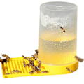 Miniatyrbild 1 av 5: 1 st Gul Honung Vattenautomat för Bin, Vattenautomat Biodlingsmaterial Plast Flytande Matningssystem Bin Biodlingsverktyg Bikupa Vattenautomat Matningsutrustning