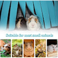 Miniatyrbillede 4 af 5: Blå Drøm Hamac-telt til små dyr som hamster (blå)