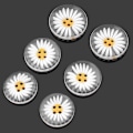Miniatyrbilde 5 av 5: 10 stk. Resin-knapper for søm DIY Håndverk Størrelsesområde 25 mm, Tusenfryd-design, Perfekt for håndverk og knapper for syprosjekter