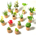Miniatyrbilde 5 av 5: 14 stk. Plante Kjøleskapsmagneter - Mini Sukkulenter Kunstige Planter Kjøleskapsmagneter Pottede Magnetklistremerker Søte for Magne