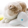 Miniatyrbild 4 av 5: Jaune Jouet Interactif D'Intérieur pour Chat avec Papillon Rota