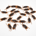 Miniatyrbild 5 av 5: 24-pack Falska Kackerlackor i Plast - Skämtkackerlackor, Gag-Presenter