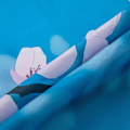 Miniatyrbilde 5 av 5: Japansk Dusjforheng, Sakura Bloom Design, Stoffsett