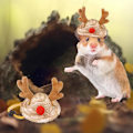 Miniatyrbillede 5 af 5: Hamster Tøj Sød Marsvin Tøj Hamster Tilbehør Til Ægte Hamstere Slange Hat Håndlavet Strikning Langvarig U