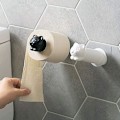 Miniatyrbillede 1 af 5: Pakke Kat Toiletrullepapir Opbevaringshylde Toiletrulleholder Selvklæbende Kroge Ingen Boring til Badeværelse Køkken