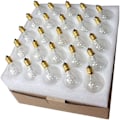 Miniatyrbillede 3 af 5: 25 Pak G40 LED Globe Glaspærer Udskiftning, IP44 Vandtæt