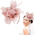 Miniatyrbilde 1 av 5: Fascinator Mesh, Minihatt for Kvinner Bryllup Hårtilbehør