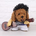 Miniatyrbillede 3 af 5: Sjovt guitar hundekostume kæledyrstøj hundekostume chihuahua teddy mops jul fest hallow