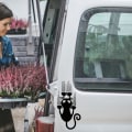 Pikkukuva 4 / 5: Suloiset mustavalkoiset kissan muotoiset autotarrat