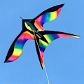 Miniatyrbilde 2 av 5: Rainbow Bird Kite med håndtak Line Nylon Stoff Swallow Kite