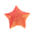 Miniatyrbilde 1 av 8: 14 cm Sjøstjerne Dekompresjonsleker Artikulerende Bevegelige Lemmer Red gold