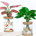 Miniatyrbilde 3 av 5: Lazy Transparent Flowerpot Hydroponic Automatic Water Absorptio as the picutre B