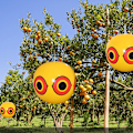 Pikkukuva 2 / 7: Anti Bird puhallettava karkotin Scare Eye Balloons Farm Protector Yellow
