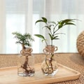 Miniatyrbild 5 av 5: Transparent blomkruka Hydroponic Green Dill Plast Blomkruka as the picutre A