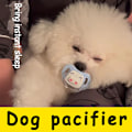 Miniatyrbild 2 av 8: Lugnande napp för husdjur Hund Rengör Molarleksak Bitresistent A3