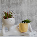 Miniatyrbillede 6 af 8: Lazy Guy er Pots til indendørs s harpiksblomster one size
