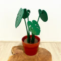 Miniatyrbilde 5 av 8: Monstera Coaster Ornament Kunstig