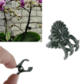 Miniatyrbillede 1 af 5: 20 stk Fix Clips Orkide Stængel Vinstøtte Blomster Bundet Gren C as the picutre