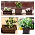 Miniatyrbilde 2 av 5: Imitert plast Balkong Firkantede Potter Blomst Bonsai Bowl Nurser as the picutre A4