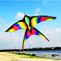 Miniatyrbilde 1 av 5: Rainbow Bird Kite med håndtak Line Nylon Stoff Swallow Kite