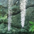 Miniatyrbilde 4 av 8: Akvarium oksygen luftpumpe fisketank USB Silent Air Compressor Green