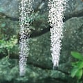 Miniatyrbillede 4 af 8: Akvarium Oxygen Luftpumpe Fish Tank USB Silent Air Compressor White