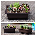 Miniatyrbilde 4 av 5: Imitert plast Balkong Firkantede Potter Blomst Bonsai Bowl Nurser as the picutre A4
