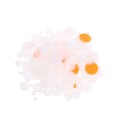 Miniatyrbillede 3 af 5: 200 STK blandet plastgearpose Motorgear gear