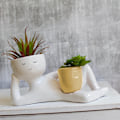 Miniatyrbillede 3 af 8: Lazy Guy er Pots til indendørs s harpiksblomster one size