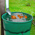 Miniatyrbillede 3 af 8: Mesh Cover Netting Til Vandspande Beskyttelse Låg 80CM