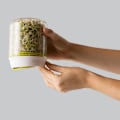 Miniatyrbillede 4 af 5: Sprouter Spiring Growing Kit Spiring Pot Krukker Værktøj