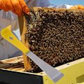 Pikkukuva 4 / 8: Mehiläishoito monitoimikaavin J Shape Bee Hive -työkalut