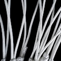 Miniatyrbillede 6 af 8: Basketball Kurv Net Standard Sports Basketball Hoop Net Spo 1pair