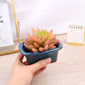 Miniatyrbillede 2 af 5: Bonsai Blomsterpotte Ventiler Keramisk Craft Pot