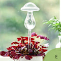 Miniatyrbillede 1 af 5: Automatisk vanding Globe Blomstervandløg Mushroom