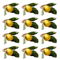 Pikkukuva 1 / 5: 12 kpl Simulaatio sitruunalautasliinarengas hedelmäaterian solki 12Pcs