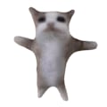 Miniatyrbild 3 av 8: Banan Cat Happy Cat Plyschleksak Banana Cat Doll Toy B