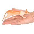 Miniatyrbild 3 av 8: Simulering Hårlös Kattmodell Leksak Kattfigurer Leksak black