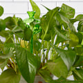 Miniatyrbild 4 av 8: Flerfärgat transparent glas självbevattningsenhet A2