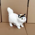 Miniatyrbillede 5 af 8: e Simulation Cat Plys Legetøj Blødt udstoppet killing Model Kat Real type-A3