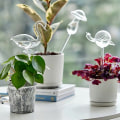 Miniatyrbillede 4 af 5: Automatisk vanding Globe Blomstervandløg bird