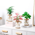 Miniatyrbilde 2 av 5: Lazy Transparent Flowerpot Hydroponic Automatic Water Absorptio as the picutre B