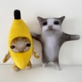 Miniatyrbillede 4 af 8: Banan Cat Happy Cat Plys Legetøj Banana Cat Doll Legetøj B