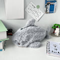 Miniatyrbild 7 av 8: 1st e Plush Shark Case Skolmaterial 1PCS
