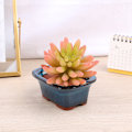 Miniatyrbillede 1 af 5: Bonsai Blomsterpotte Ventiler Keramisk Craft Pot