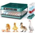 Profesjonell automatisk egginkubator med automatisk eggvendingsenhet - for 15 egg - c26