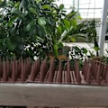 Miniatyrbilde 4 av 5: 10 stk Fuglepigger for Anti Due Høye Skarphet Kjæledyr Kontroll Pigger Sett for Utendørs Black 10pcs
