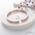 Miniatyrbilde 4 av 4: Titanium Diamantarmbånd for menn/kvinner