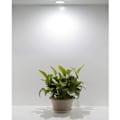 Pikkukuva 5 / 5: Pakkaus, jossa 10 mini LED-kattovalaisinta, upotettavat LED-kohdevalot